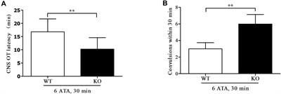 Effect of Transcriptional Regulatory Factor FoxO3a on Central Nervous System Oxygen Toxicity